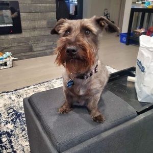 Meet your Posher, Danielle